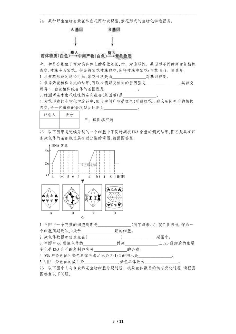 有丝分裂随堂练习题_第5页