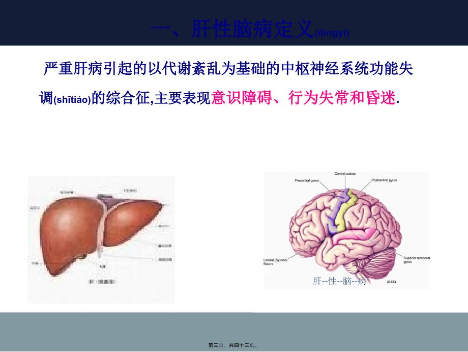 肝--性--脑--病课件_第3页