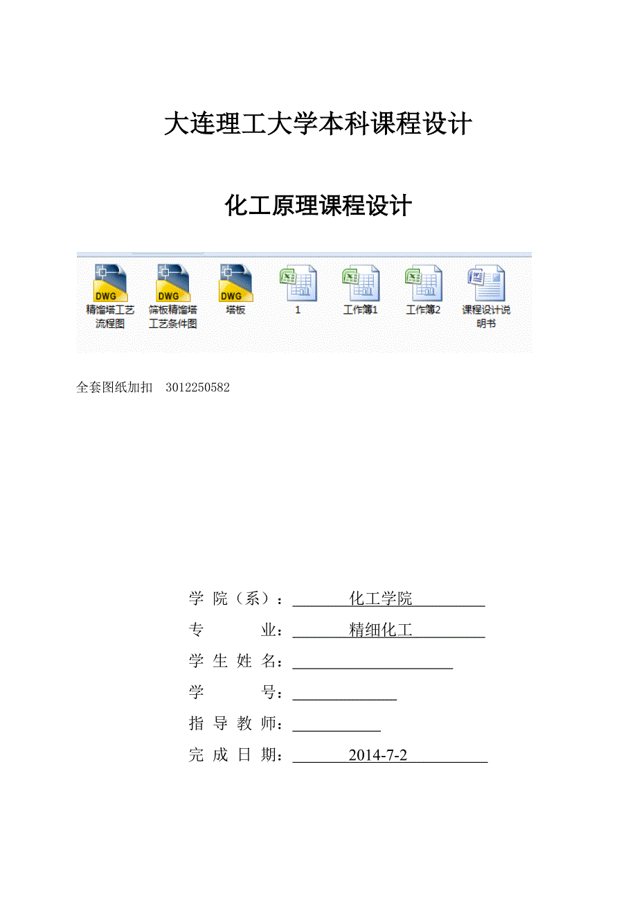 过程工艺与设备课程设计-筛板精馏塔设计_第1页