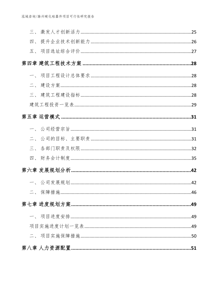 滁州碳化硅器件项目可行性研究报告（模板参考）_第3页