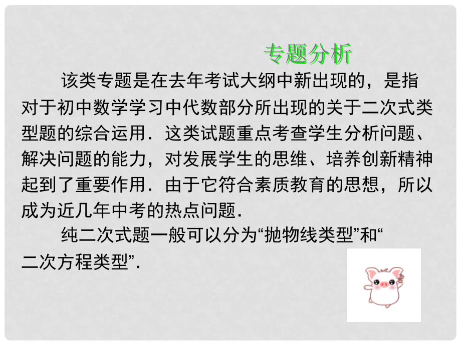 广东省河源市中英文实验学校中考数学专题复习 专题三 纯二次式专题课件_第3页