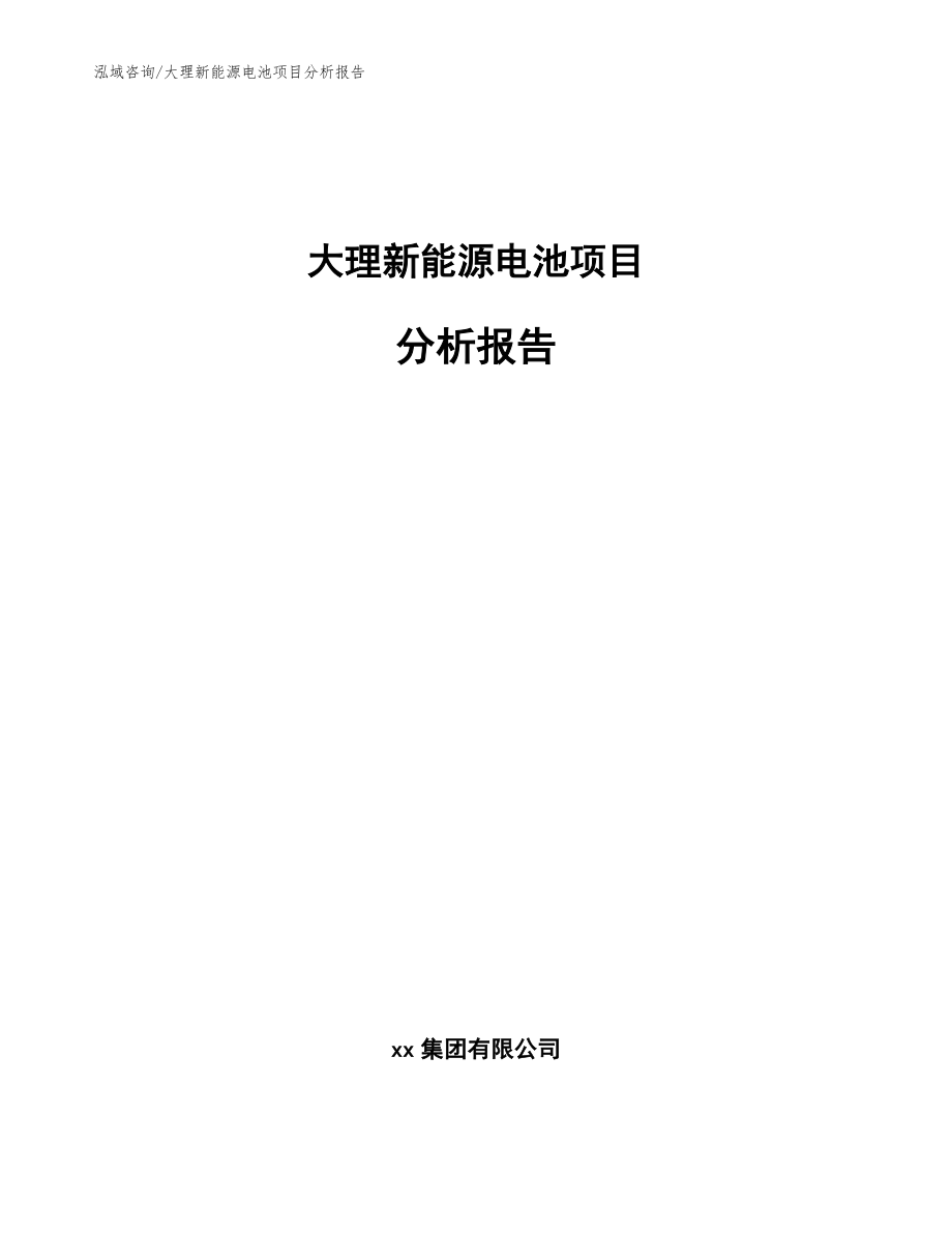 大理新能源电池项目分析报告