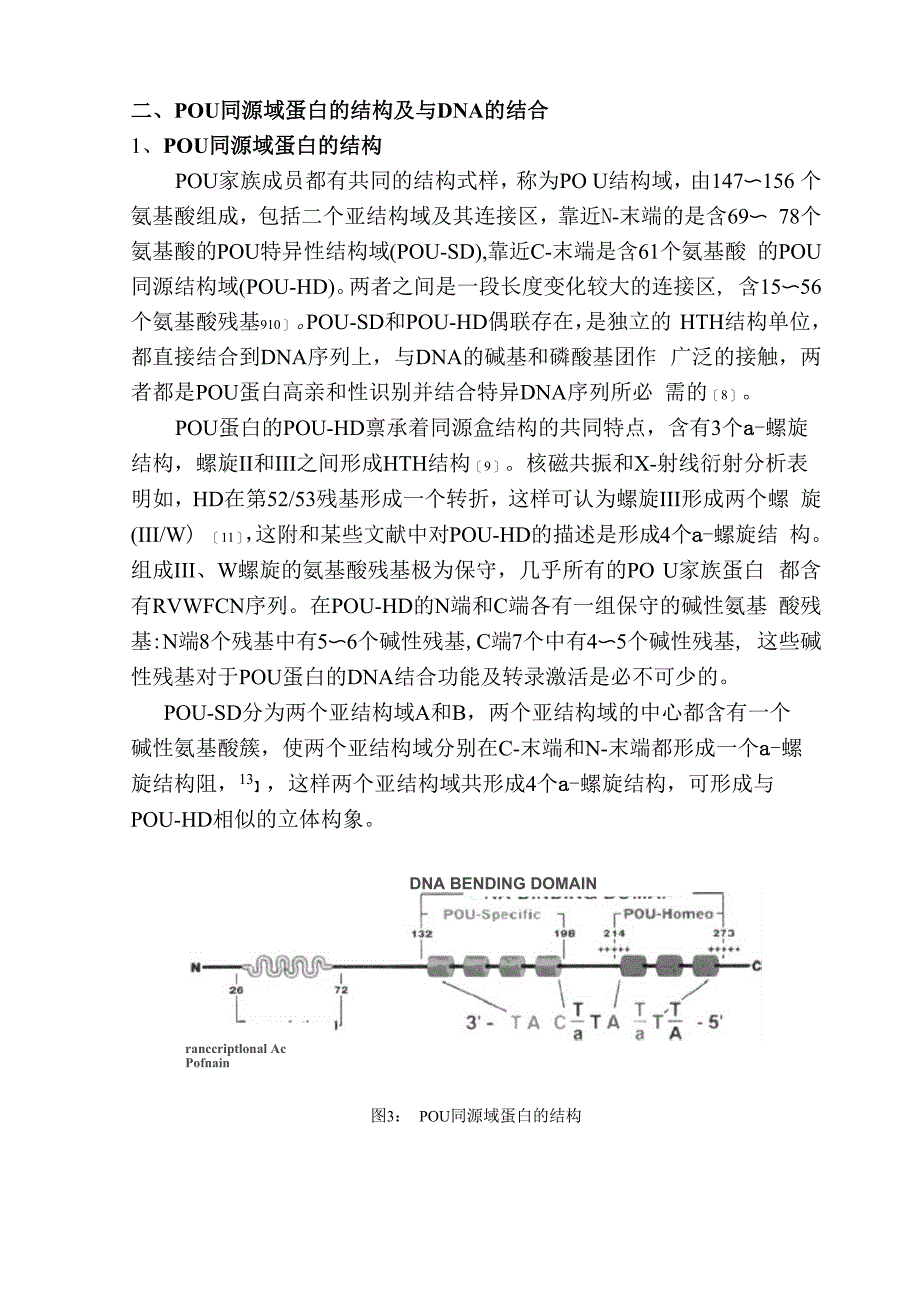 POU同源域蛋白的结构及其在发育中的作用_第4页