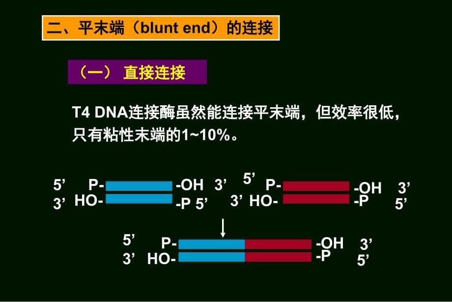 何水林版基因工程基因的转移与重组体的筛选和鉴定课件_第5页