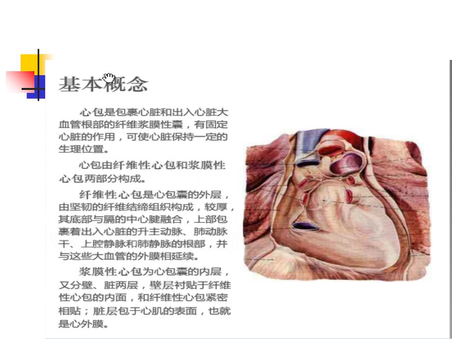 心脏术后合并出血及急性心包填塞的观察及护理_第3页