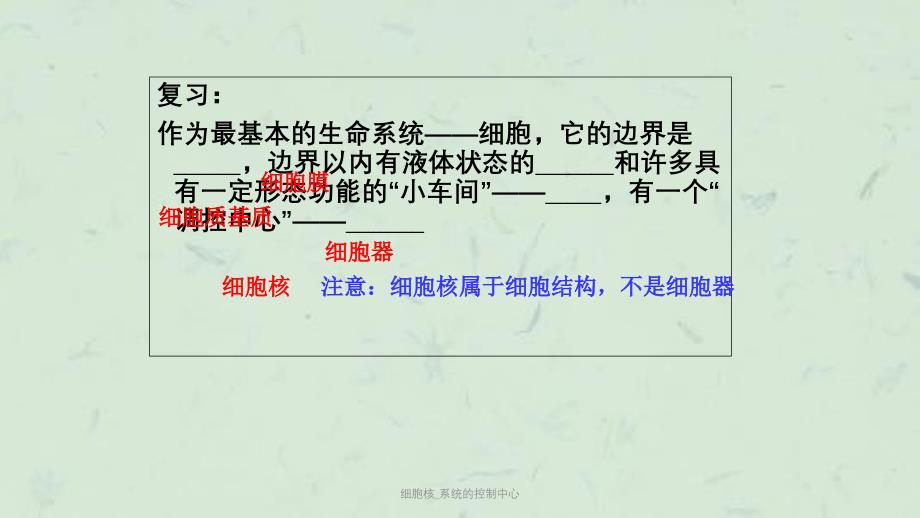 细胞核_系统的控制中心课件_第1页