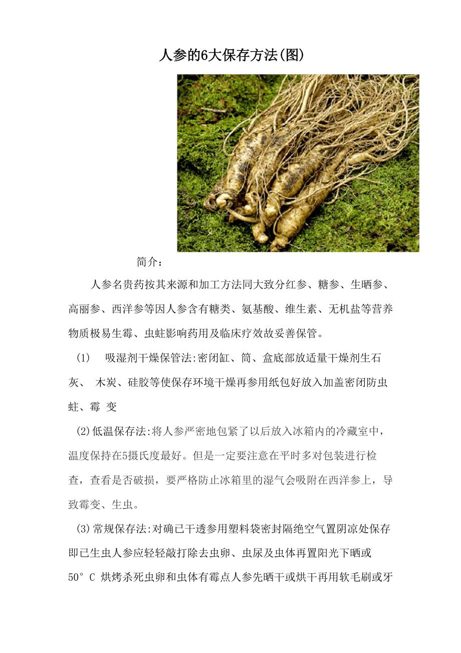 人参的6大保存方法_第1页