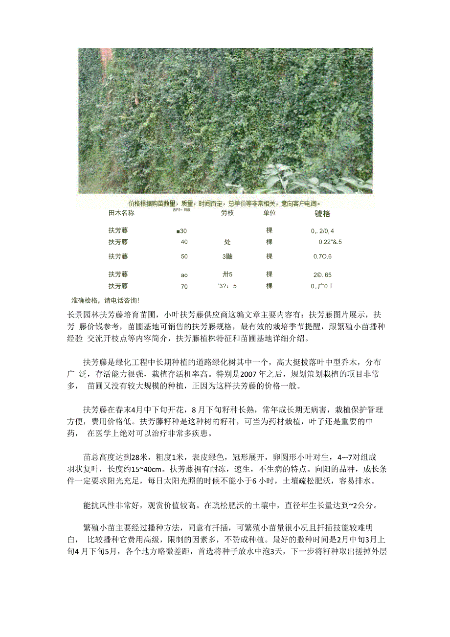 小叶扶芳藤供应商_第1页