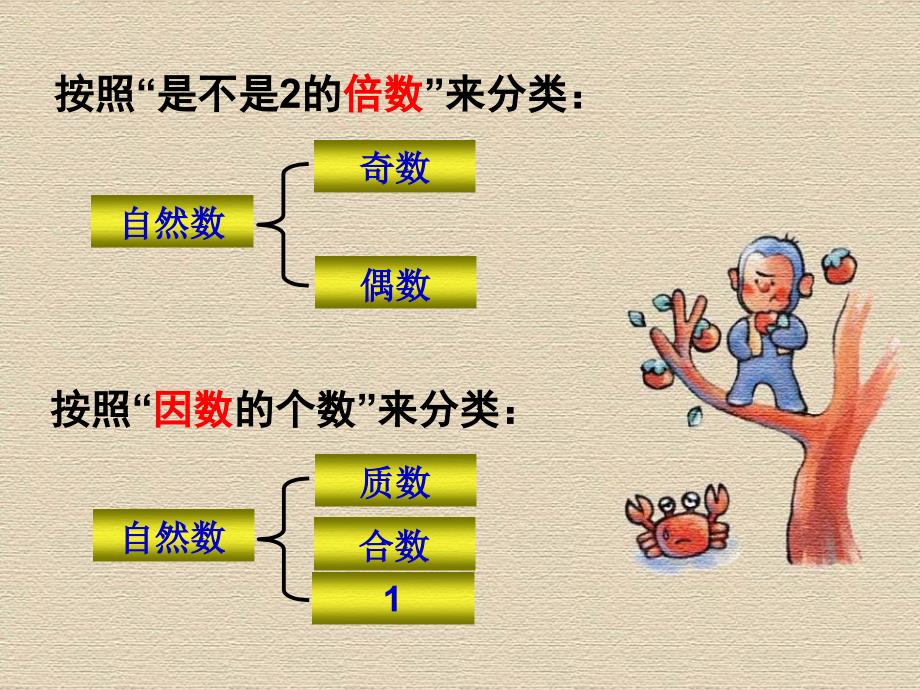 质数和合数的课件_第4页