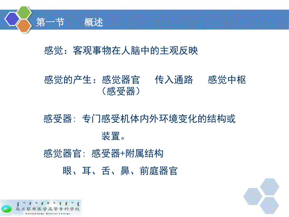 生理学第九章感觉器官的功能ppt课件_第3页