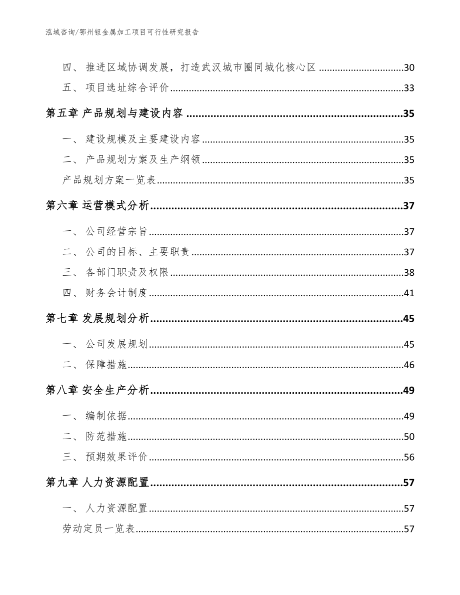 鄂州钽金属加工项目可行性研究报告【范文】_第2页