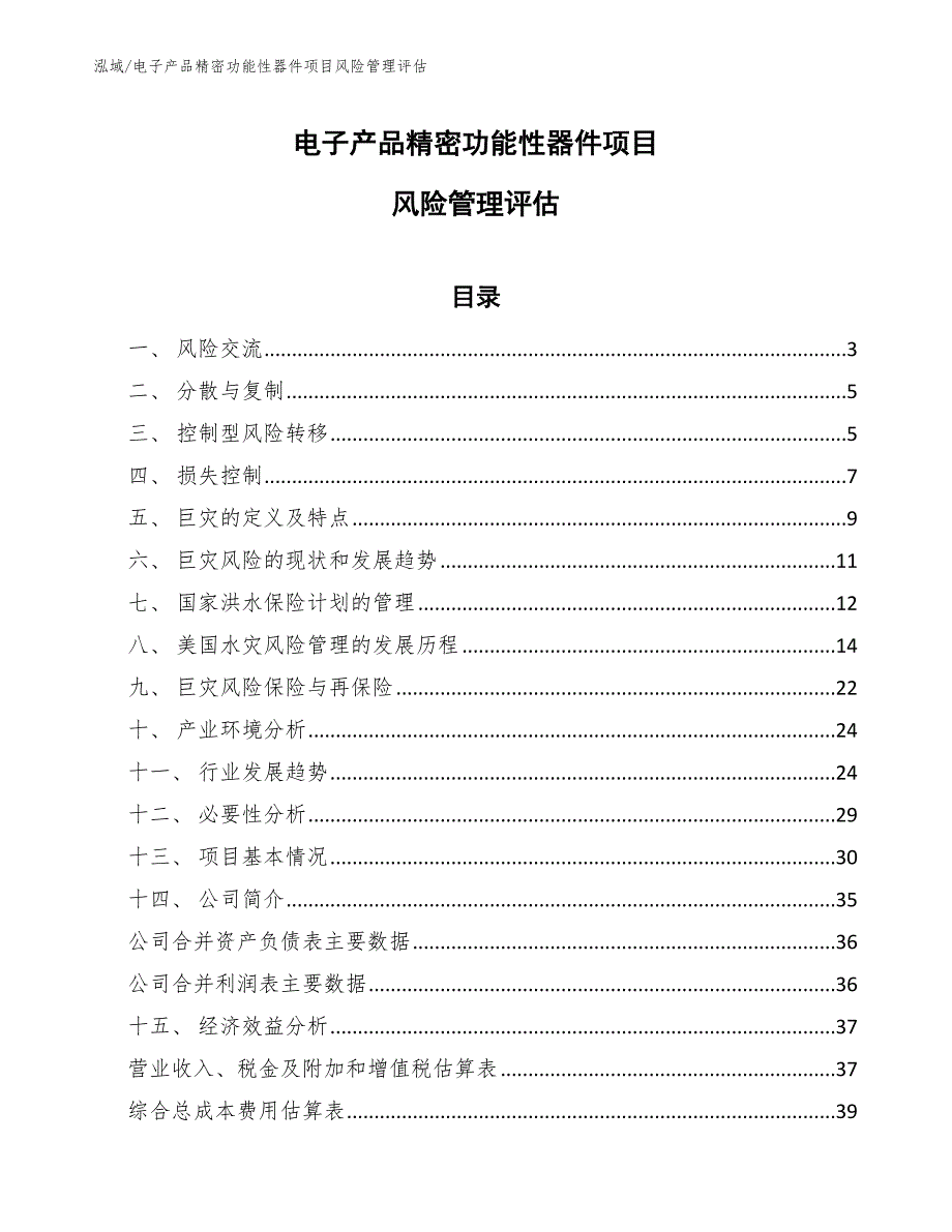 电子产品精密功能性器件项目风险管理评估【范文】_第1页