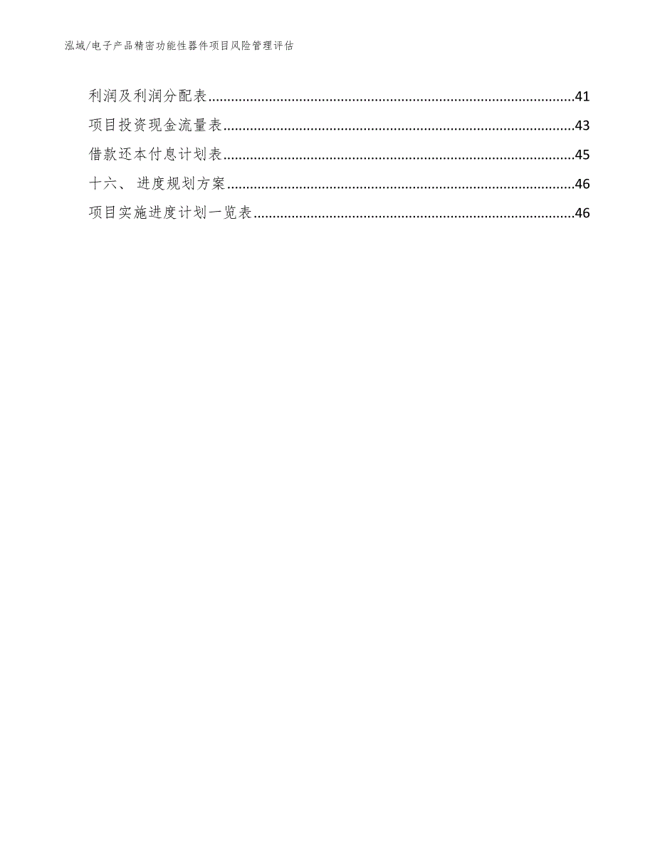 电子产品精密功能性器件项目风险管理评估【范文】_第2页