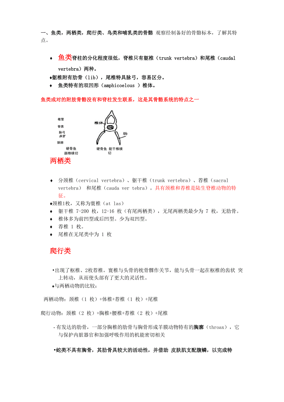 脊椎动物各系统演化_第1页