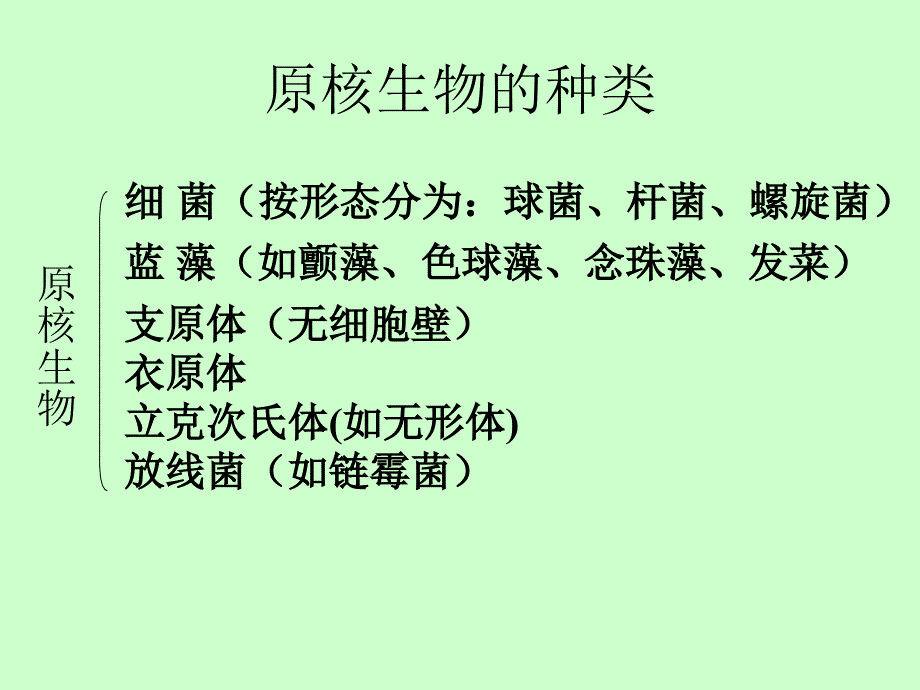 真核细胞与原核细胞.ppt_第3页