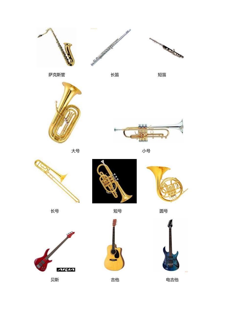 常见西洋乐器名称和图片大全_第2页