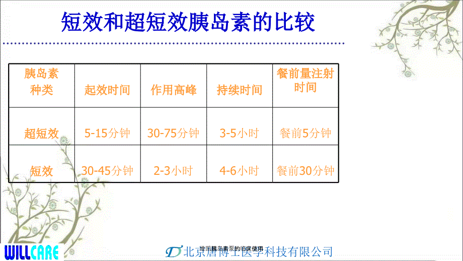 维凯胰岛素泵的临床使用_第4页