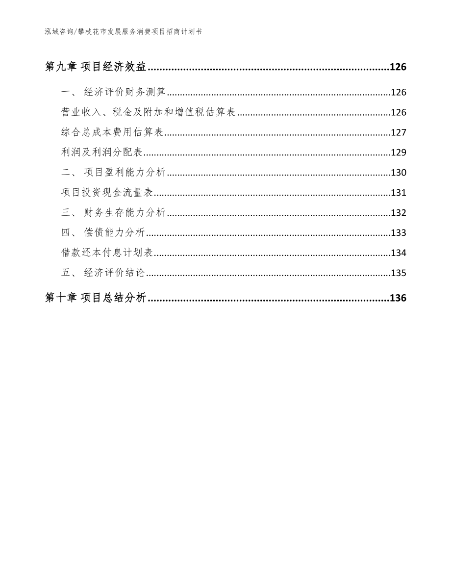 攀枝花市发展服务消费项目招商计划书_模板范本_第4页