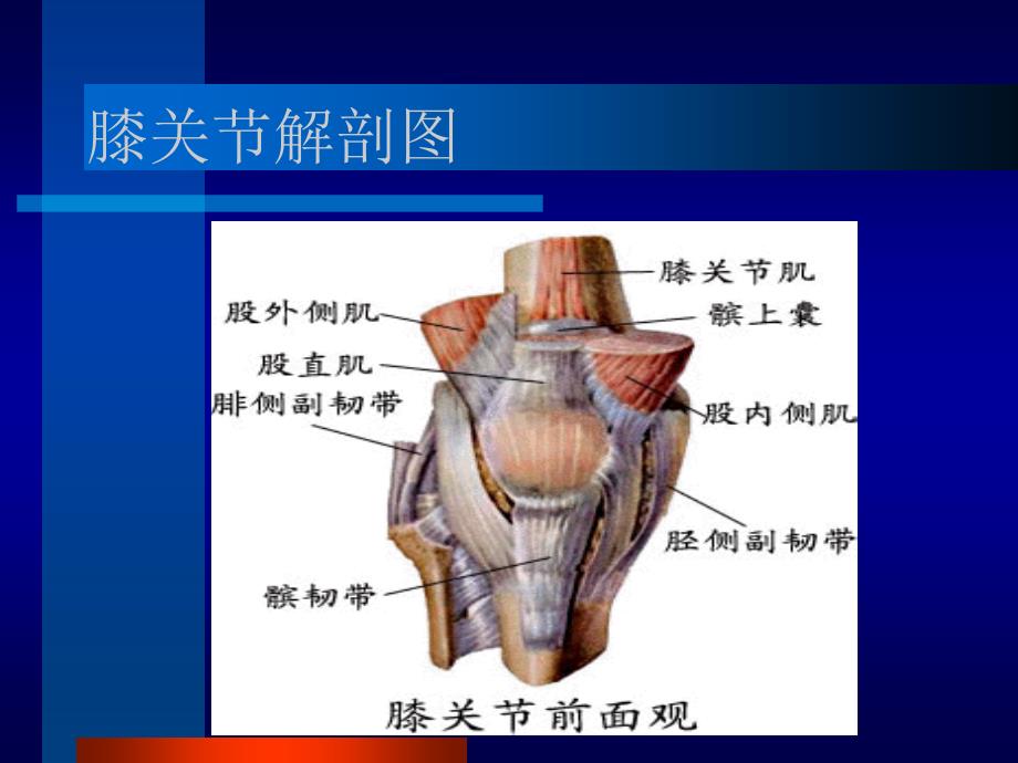 常见运动损伤膝关节_第4页