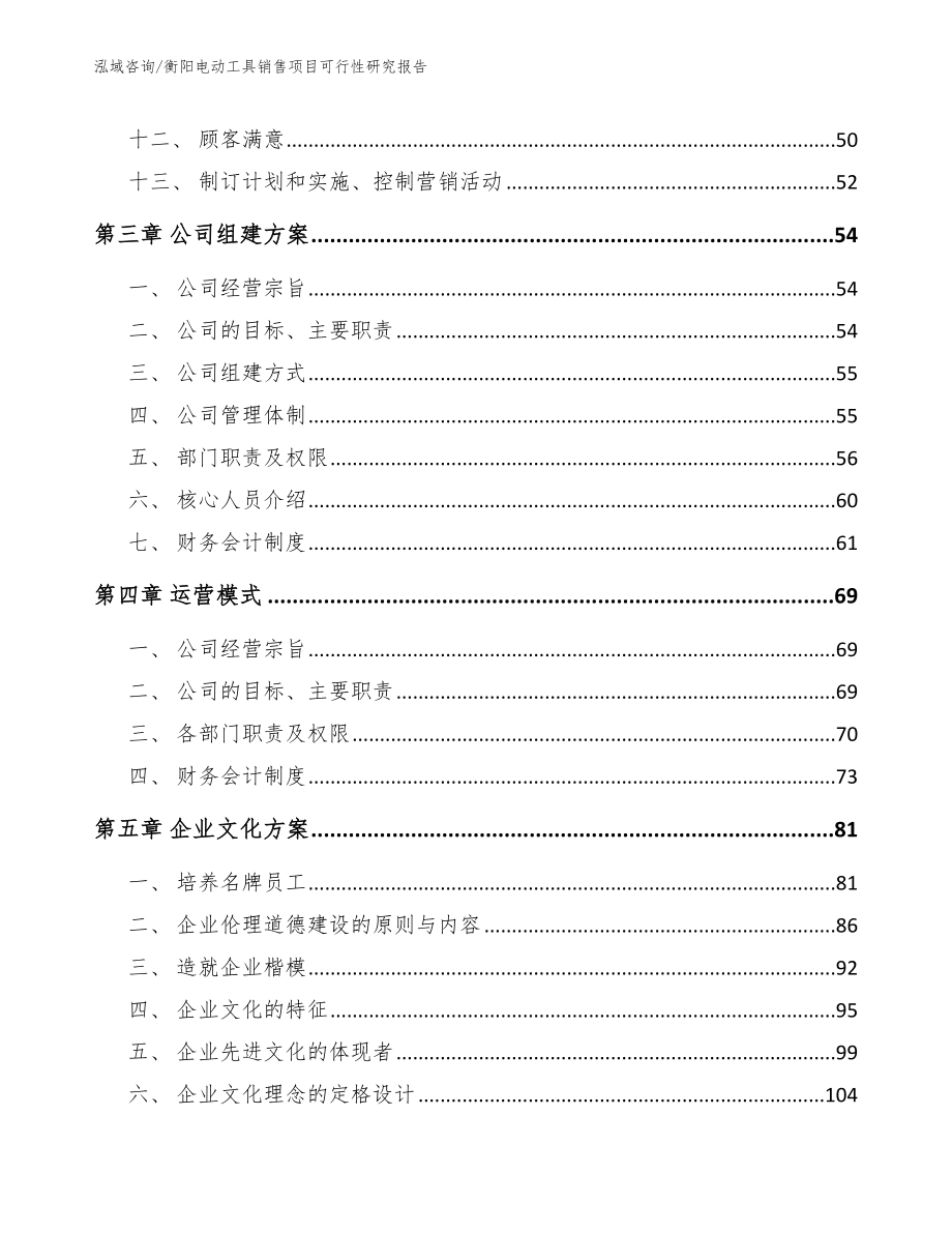 衡阳电动工具销售项目可行性研究报告参考范文_第2页