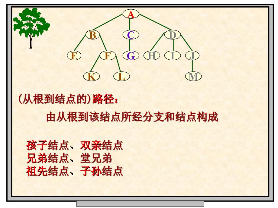 数据结构第六章树和二叉树课件_第3页