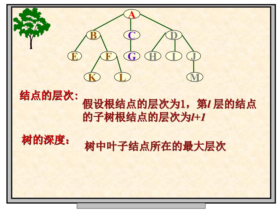 数据结构第六章树和二叉树课件_第4页