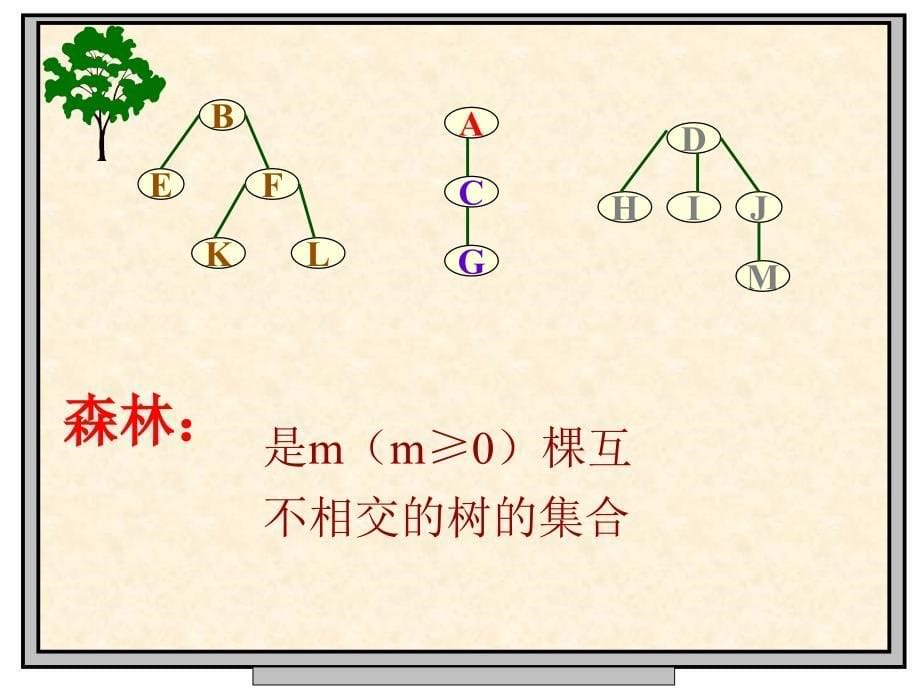 数据结构第六章树和二叉树课件_第5页