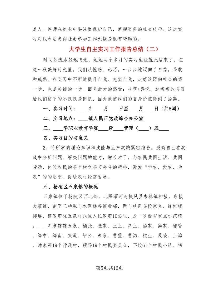 大学生自主实习工作报告总结（4篇）.doc_第5页