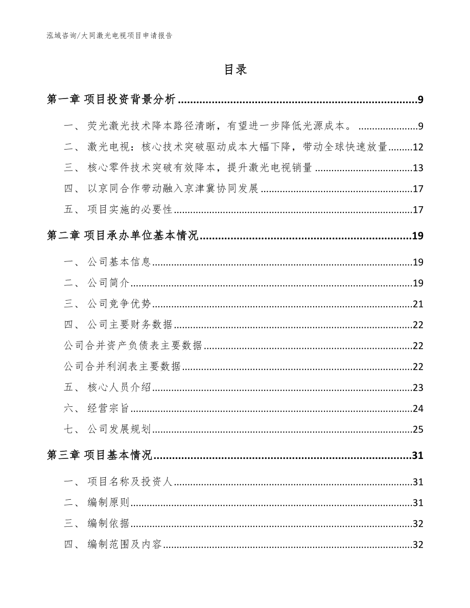 大同激光电视项目申请报告_模板_第2页