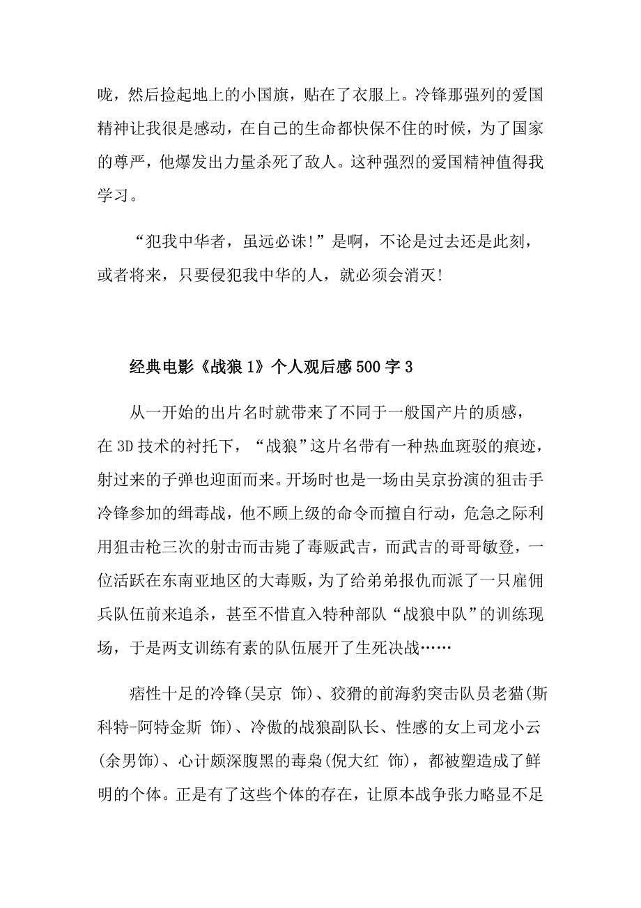 经典电影《战狼1》个人观后感500字_第3页