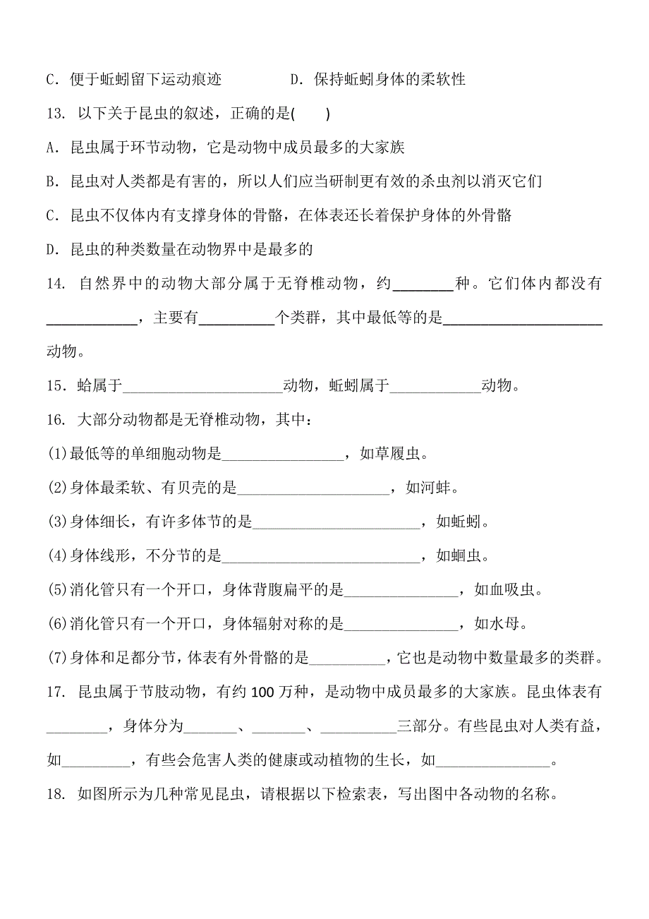 浙教版七年级科学上册--第二章-观察生物--第4节-常见的动物--无脊椎动物--同步练习题-含答案_第3页