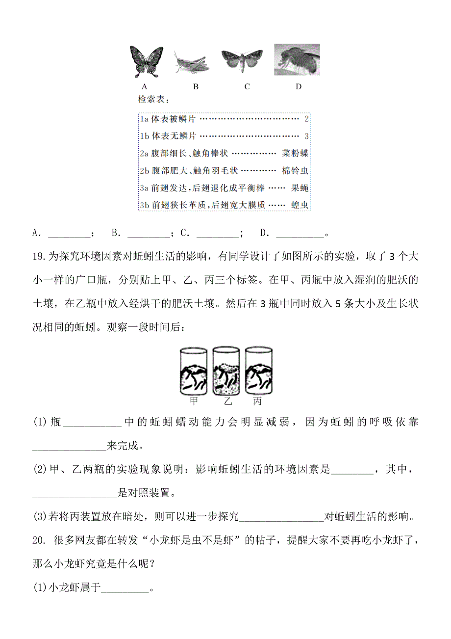 浙教版七年级科学上册--第二章-观察生物--第4节-常见的动物--无脊椎动物--同步练习题-含答案_第4页