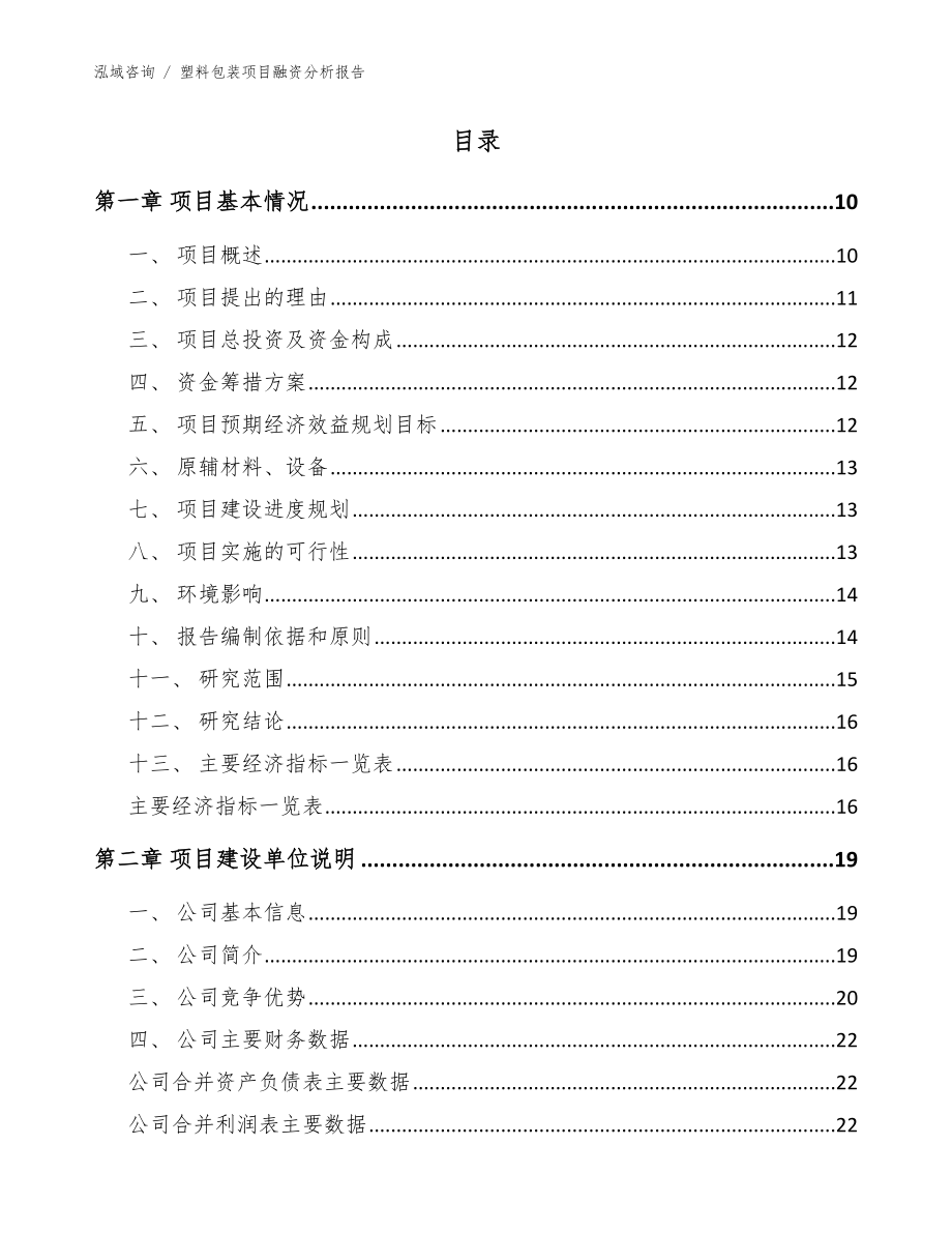 塑料包装项目融资分析报告（范文模板）_第2页