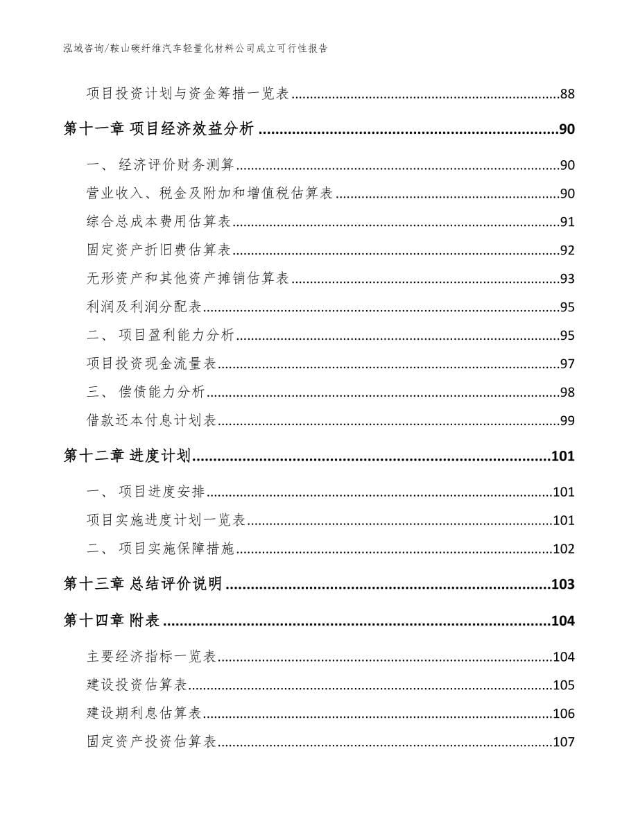 鞍山碳纤维汽车轻量化材料公司成立可行性报告【范文模板】_第5页