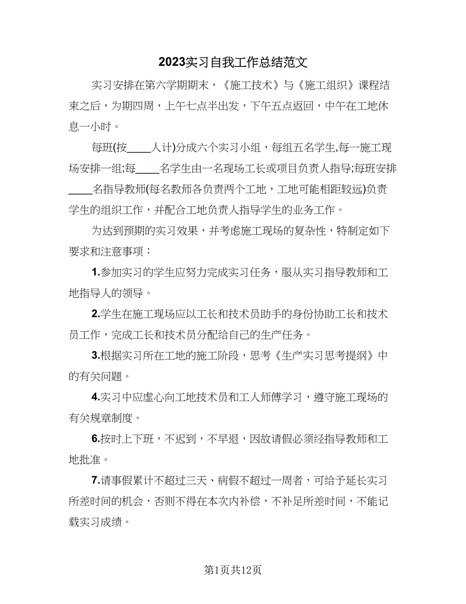 2023实习自我工作总结范文（6篇）_第1页