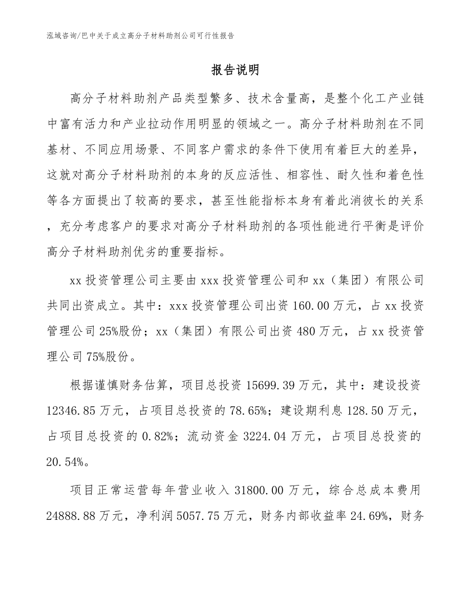 巴中关于成立高分子材料助剂公司可行性报告模板范本_第2页