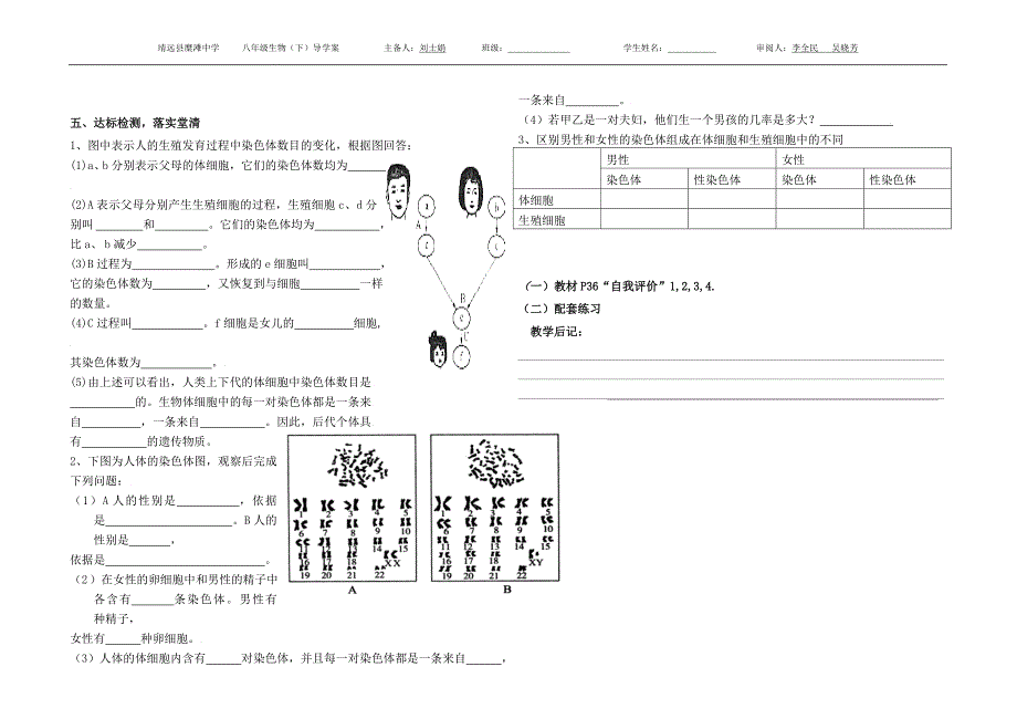 人的性别决定导学案_第2页