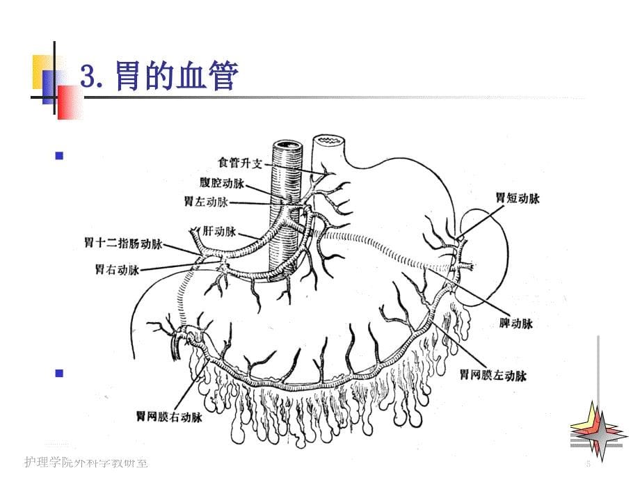 胃癌病人的护理ppt课件_第5页