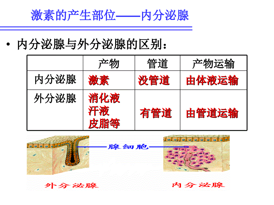 《通过激素的调节》复习课件_第2页