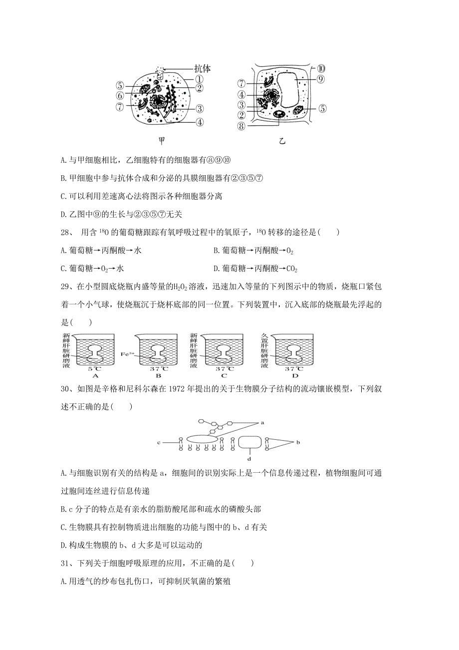 福建省莆田锦江中学2020-2021学年高一生物上学期期末考试试题_第5页