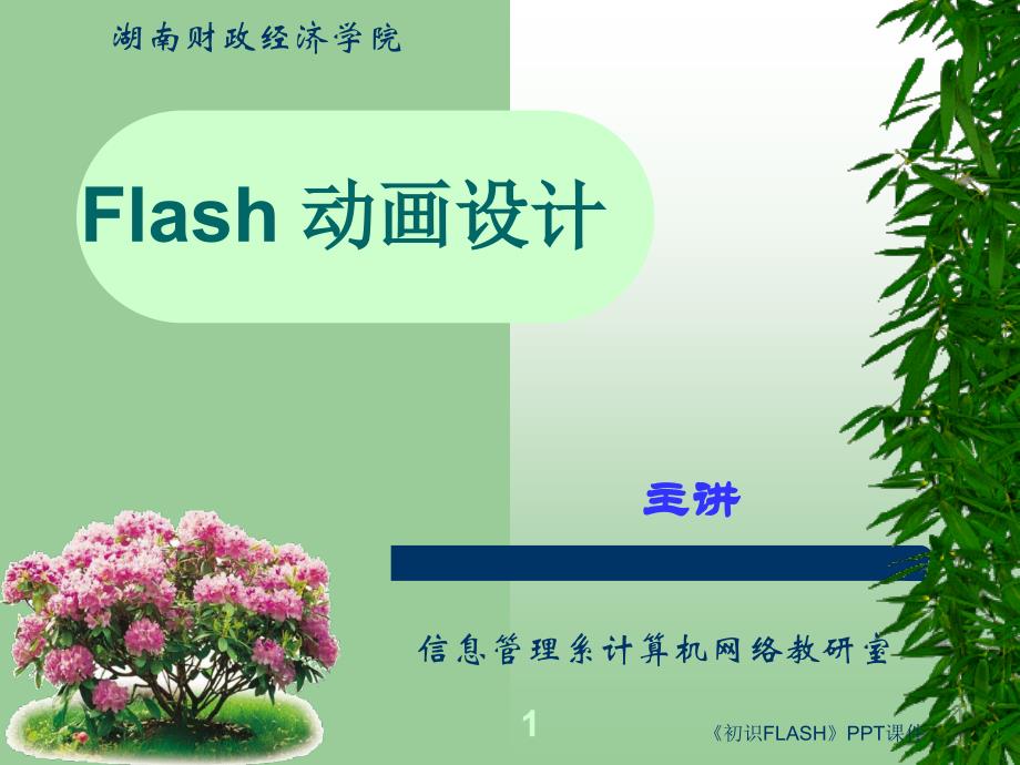 初识FLASH课件_第1页