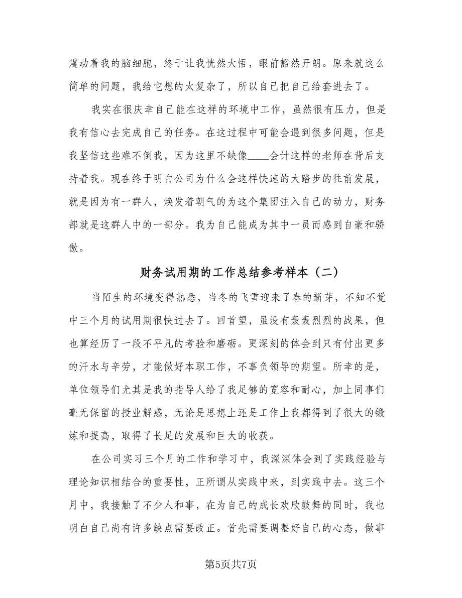 财务试用期的工作总结参考样本（二篇）.doc_第5页