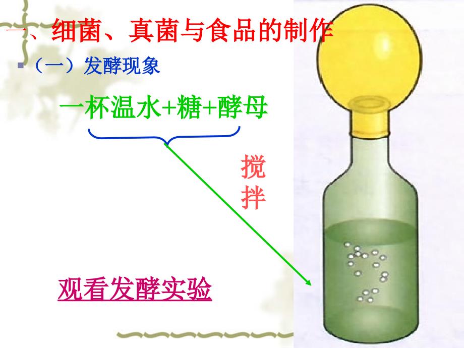 人类对细菌和真菌的利用ppt2_第2页