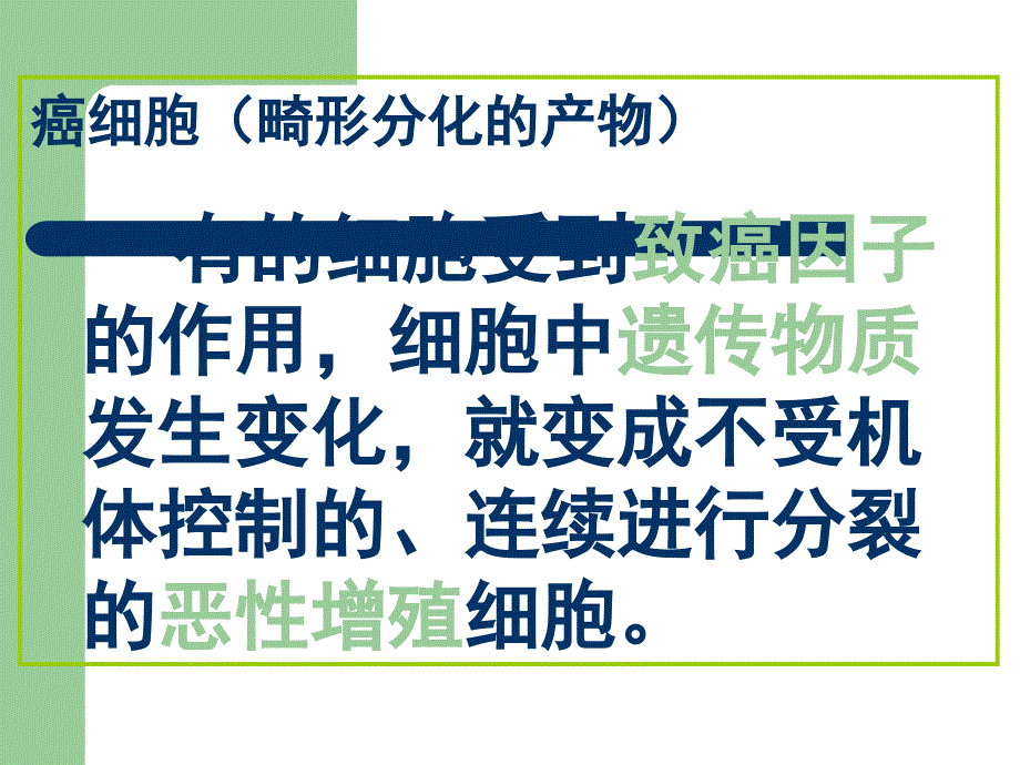 细胞的癌变ppt.ppt_第4页