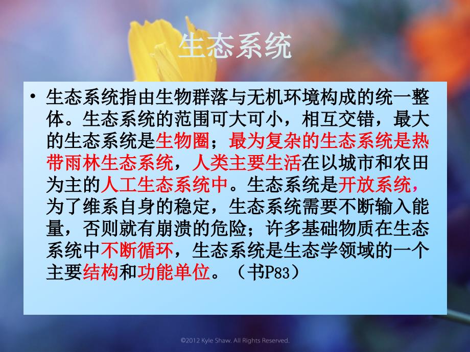 《生态系统的组成》PPT课件.ppt_第2页