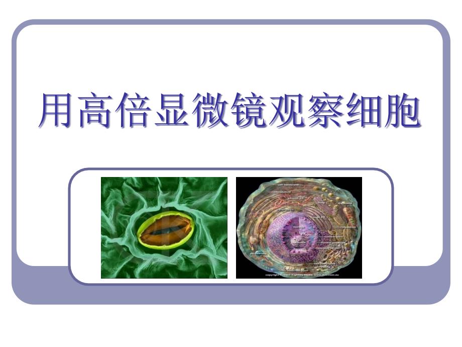 用高倍显微镜观察细胞_第1页