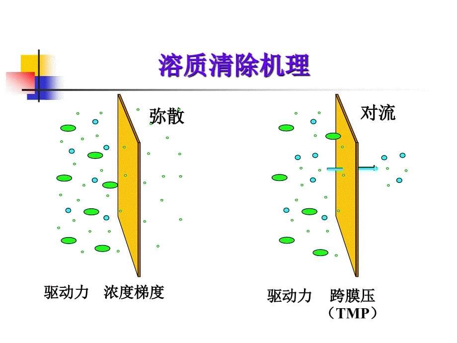 CRRT在ICU中的应用_第5页