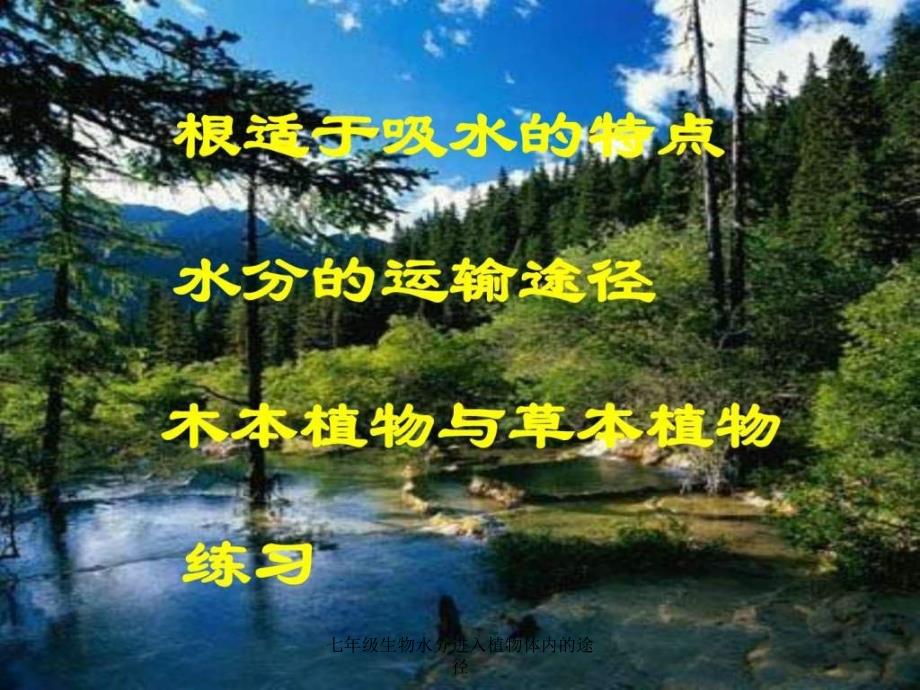 七年级生物水分进入植物体内的途径课件_第2页