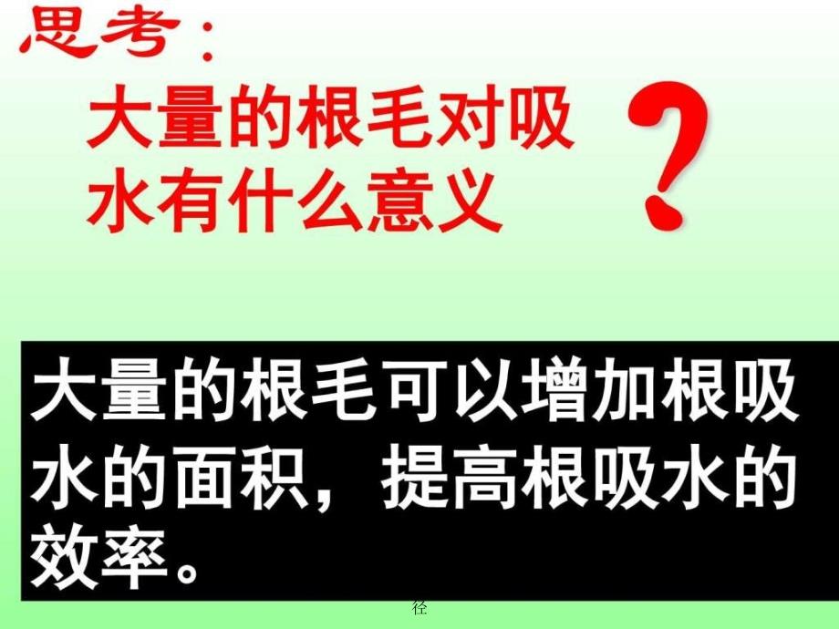 七年级生物水分进入植物体内的途径课件_第4页