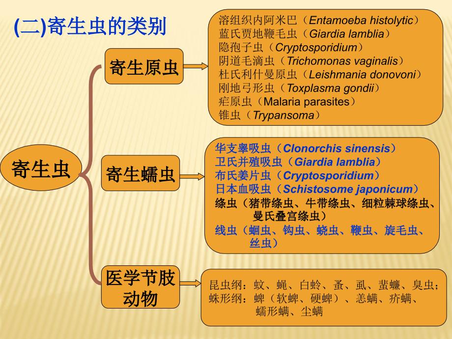 人体寄生虫学：总论与总结_第4页